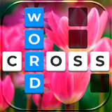 Word Crossed - Offline Games 